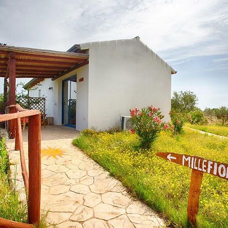 Villa Agriturismo Mieleamaro Olbia Exterior foto